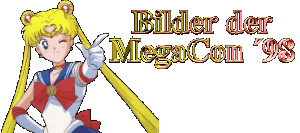 Sascha´s SailorMoon Seiten
